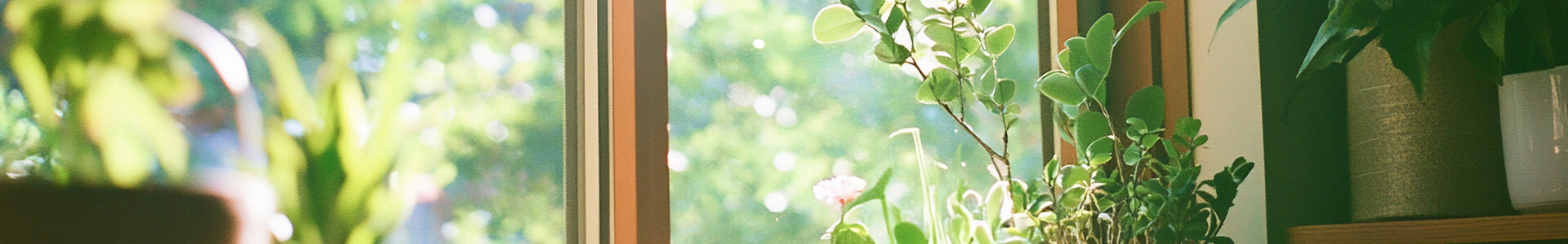 キービジュアル